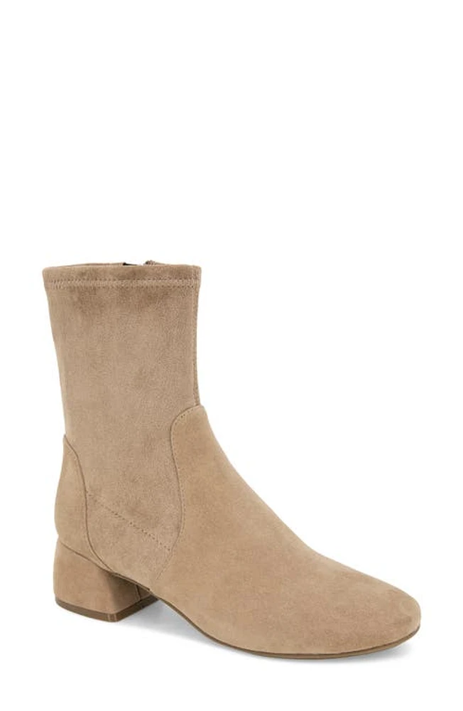 GENTLE SOULS BY KENNETH COLE Emily Zip Bootie Mushroom Suede at Nordstrom,