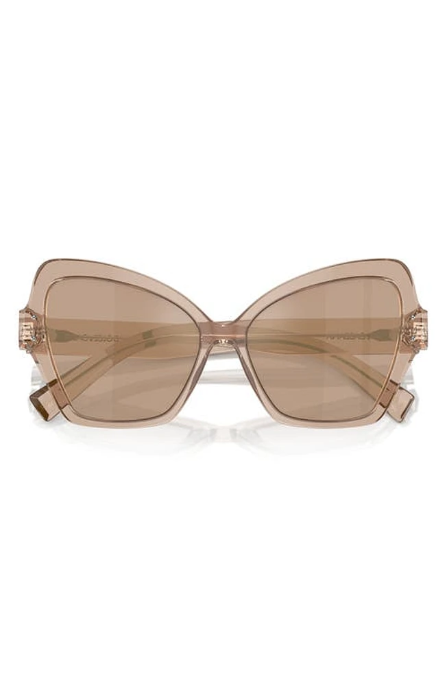 Dolce & Gabbana 56mm Butterfly Sunglasses in Camel at Nordstrom