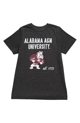 HBCU Pride & Joy Kids' Alabama A M University Graphic Tee Dark Heather Gray at Nordstrom,