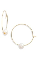 ki-ele Freshwater Pearl Hoop Earrings in Gold at Nordstrom