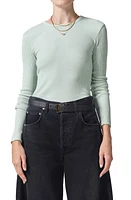 Citizens of Humanity Bina Rib Crewneck Sweater at Nordstrom,