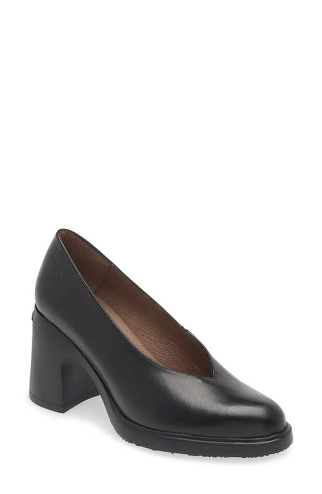 Wonders Block Heel Pump Black Leather at Nordstrom,