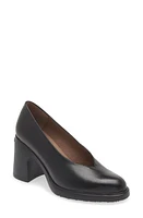 Wonders Block Heel Pump Black Leather at Nordstrom,