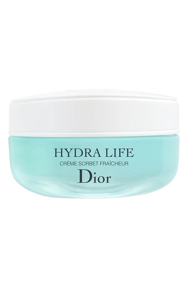 DIOR Hydra Life Fresh Sorbet Creme Moisturizer at Nordstrom