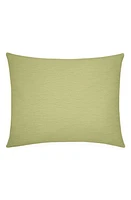 SFERRA Cetara Sham in Kiwi at Nordstrom, Size Standard