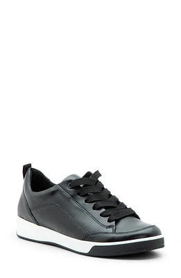 ara Redmond Sneaker Black at Nordstrom,