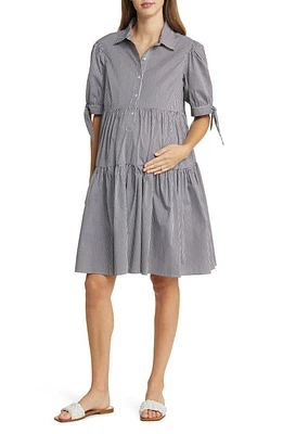 Emilia George Babette Maternity/Nursing Dress Gingham at Nordstrom,