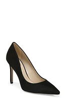 Sam Edelman Hazel Pointed Toe Pump Black Suede at Nordstrom,