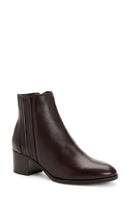 Aquatalia Naiya Ankle Bootie Brown at Nordstrom,