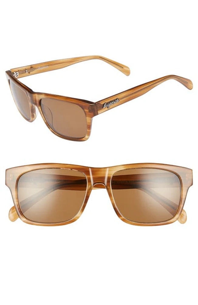 Brightside Wilshire 55mm Square Sunglasses in Cedar/Brown at Nordstrom