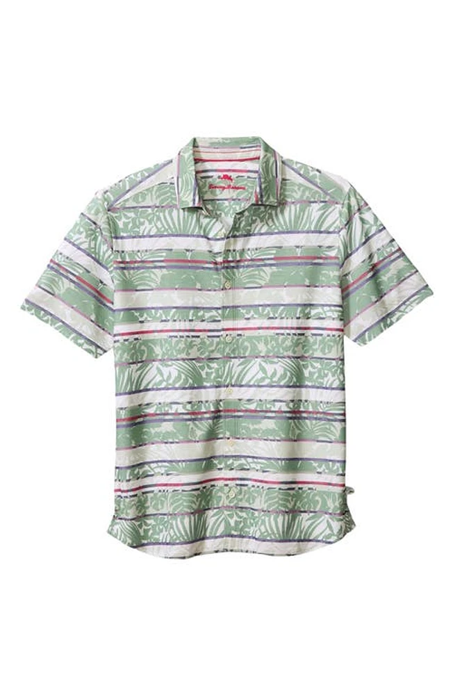 Tommy Bahama Maldano Stripe Camp Shirt Tropical Fern at Nordstrom,