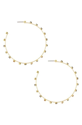 Ettika Rainbow Crystal Hoop Earrings in Gold at Nordstrom