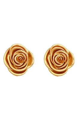 Petit Moments Brai Rose Stud Earrings in Gold at Nordstrom