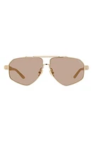 DEZI 6FT 62mm Oversize Aviator Sunglasses in Gold /Limestone /Moss at Nordstrom