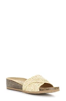 Bos. & Co. Luni Crisscross Slide Sandal Rafia at Nordstrom,