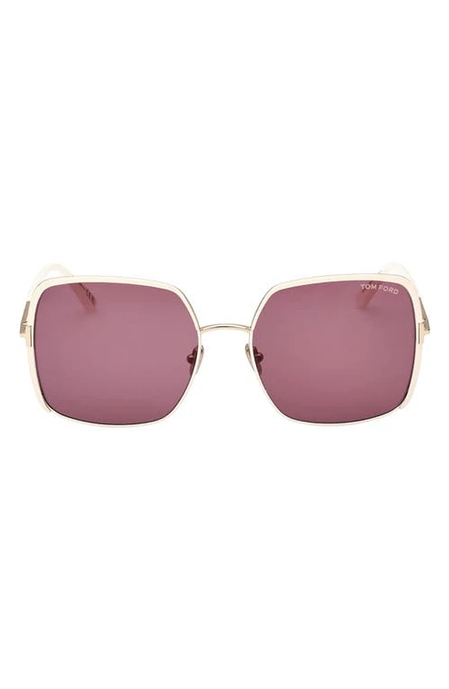 TOM FORD Raphaela 60mm Butterfly Sunglasses in Shiny Rose Gold/Violet at Nordstrom