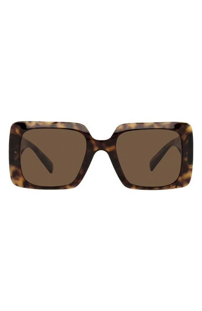 Versace 54mm Rectangle Sunglasses in Havana/Dark Brown at Nordstrom