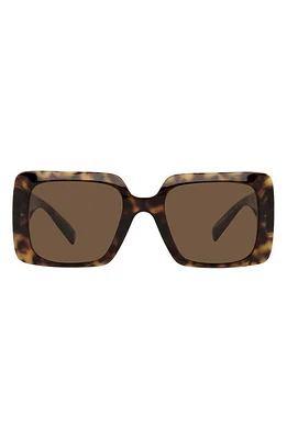 Versace 54mm Rectangle Sunglasses in Havana/Dark Brown at Nordstrom