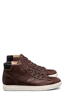 CLAE Bradley High Top Sneaker Cocoa Leather at Nordstrom,