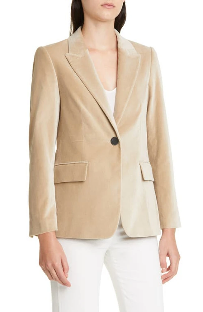 KOBI HALPERIN Adele Velvet Jacket in Plaster at Nordstrom, Size Small