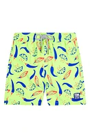 Tom & Teddy Kids' Chill Swim Trunks Lime/Blue at Nordstrom,