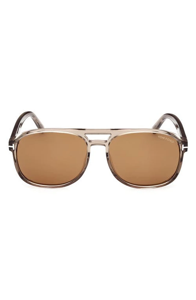 TOM FORD Rosco 58mm Navigator Sunglasses in Shiny Light Brown /Brown at Nordstrom