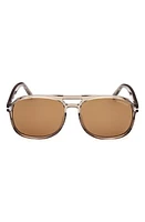 TOM FORD Rosco 58mm Navigator Sunglasses in Shiny Light Brown /Brown at Nordstrom