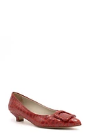 Amalfi by Rangoni Amsterdam Pointed Toe Pump Benigni at Nordstrom,