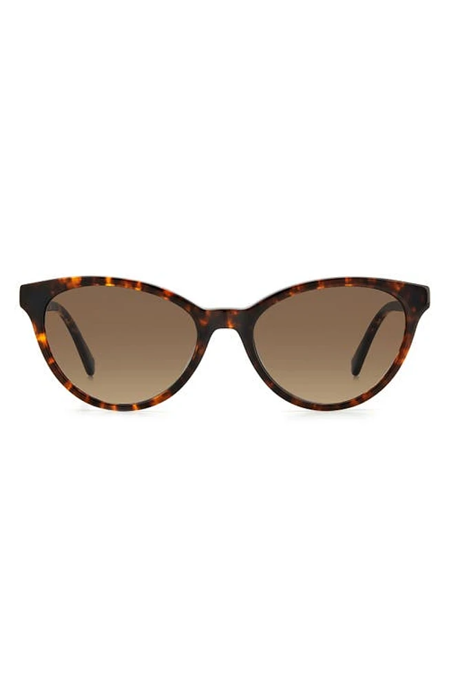 Kate Spade New York adeline 55mm gradient cat eye sunglasses in Havana /Brown Gradient at Nordstrom