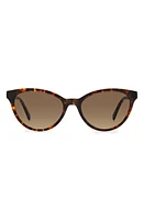 Kate Spade New York adeline 55mm gradient cat eye sunglasses in Havana /Brown Gradient at Nordstrom