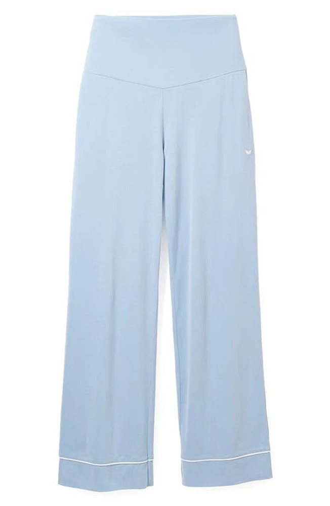 Petite Plume Luxe Pima Cotton Maternity Pants Periwinkle at Nordstrom,