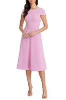 Dress the Population Livia Fit & Flare at Nordstrom,