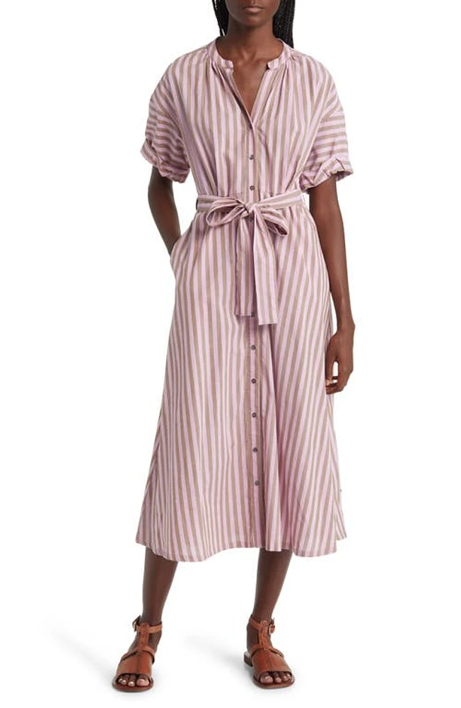 XÍRENA Liora Stripe Tie Belt Cotton Shirtdress in Fig Stripe at Nordstrom, Size Small