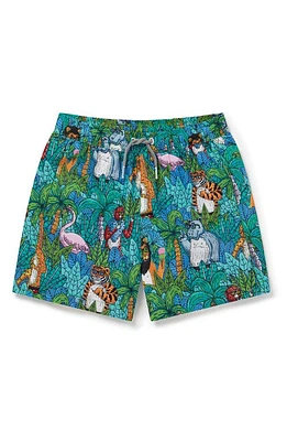 Boardies Kids' Mugla Jungle Swim Trunks Mulga at Nordstrom,