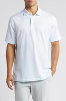 Peter Millar Hemlock Performance Jersey Polo at Nordstrom,