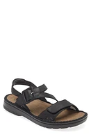 Naot Castelo Sandal at Nordstrom,