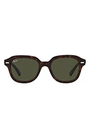 Ray-Ban Erik 51mm Square Sunglasses in Havana at Nordstrom