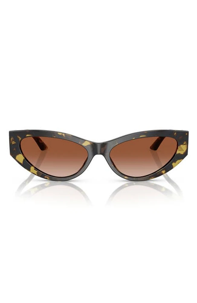 Versace Bright Greca 56mm Gradient Cat Eye Sunglasses in Havana at Nordstrom