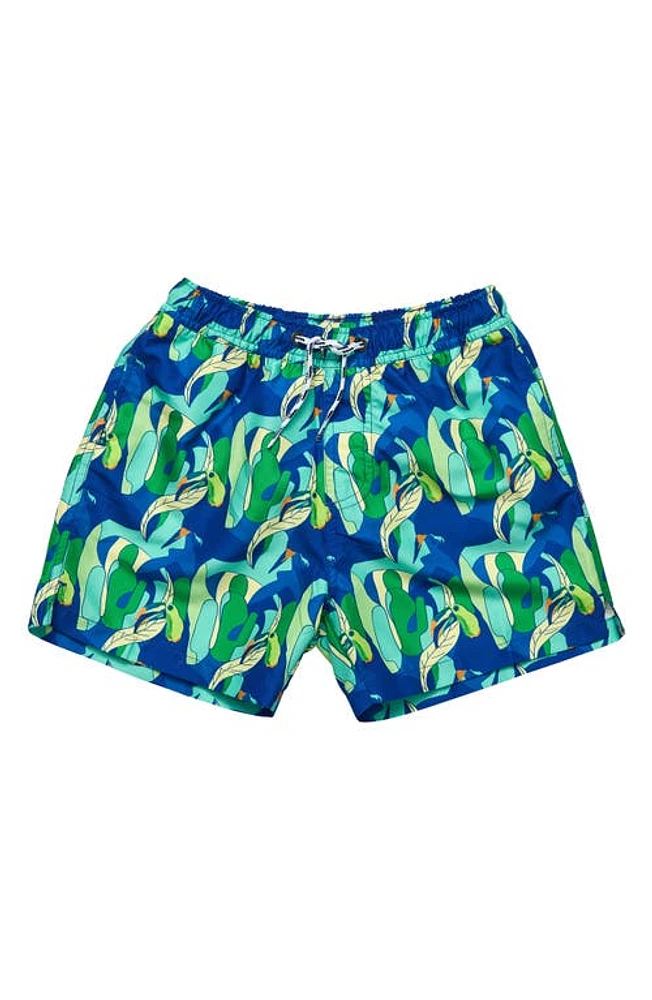 Snapper Rock Kids' Toucan Jungle Swim Trunks Blue at Nordstrom,