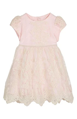 Pippa & Julie Floral Lace Overlay Dress in Pink at Nordstrom, Size 12M