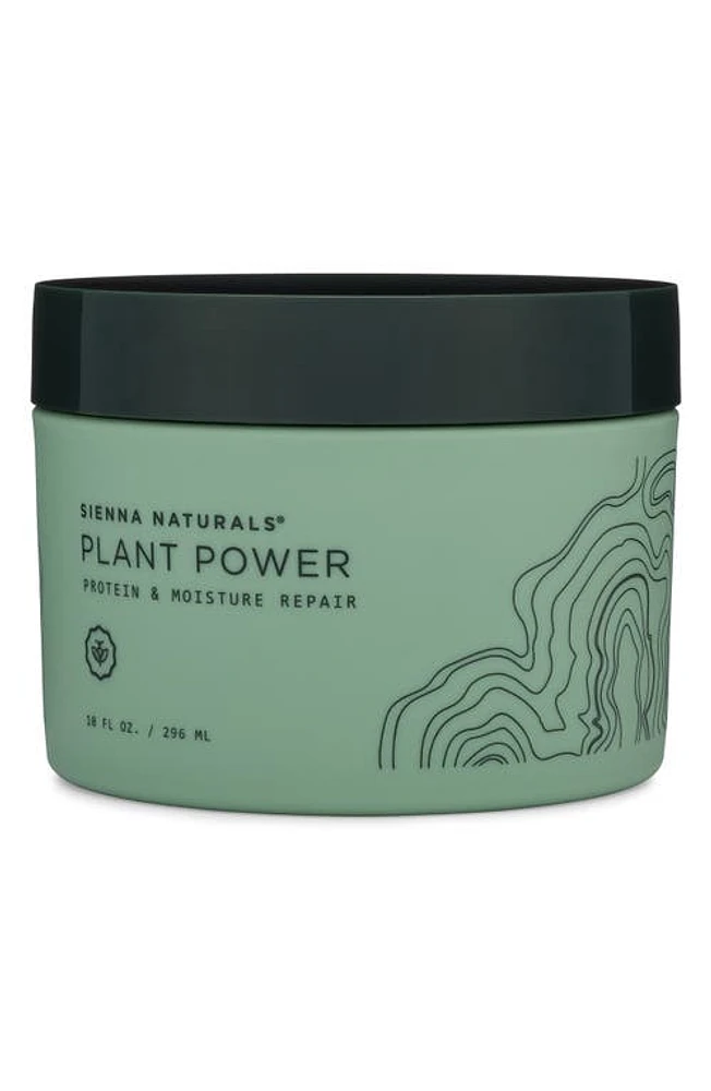 Sienna Naturals Plant Power Protein & Moisture Repair Hair Mask at Nordstrom