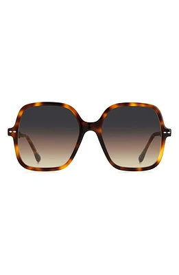 Isabel Marant Square Sunglasses in Havana /Gray Brown at Nordstrom