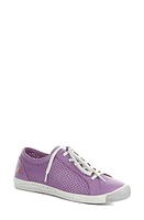 Softinos by Fly London Ica Sneaker at