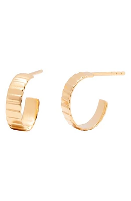 Brook and York Natalie Hoop Earrings in Gold at Nordstrom