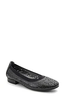 David Tate Laser Cut Ballet Flat Calf at Nordstrom,