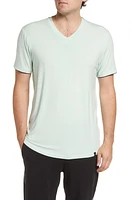 Men's The Bedfellow Sleep T-Shirt in Mint at Nordstrom