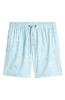 Vintage Summer Kids' Volley Four War Stretch Water Repellent Swim Trunks Mint at Nordstrom, Y