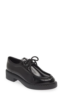 Prada Chocolate Chukka Derby Black at Nordstrom,