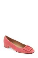 ANN MASHBURN Buckle Flat Peony Suede at Nordstrom,