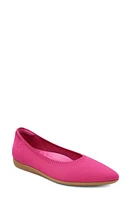 VIVAIA Aria Walker Pointed Toe Flat at Nordstrom,